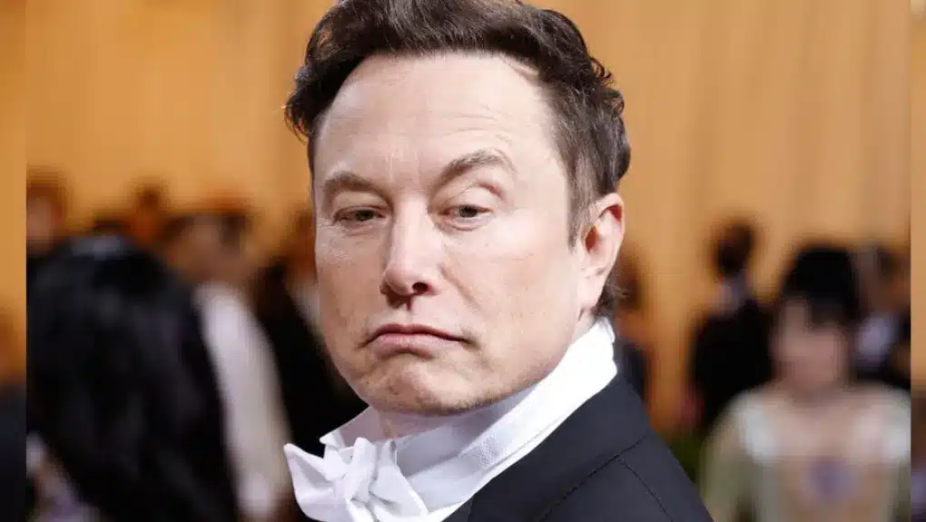 elon musk.jpg