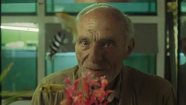kentros 1