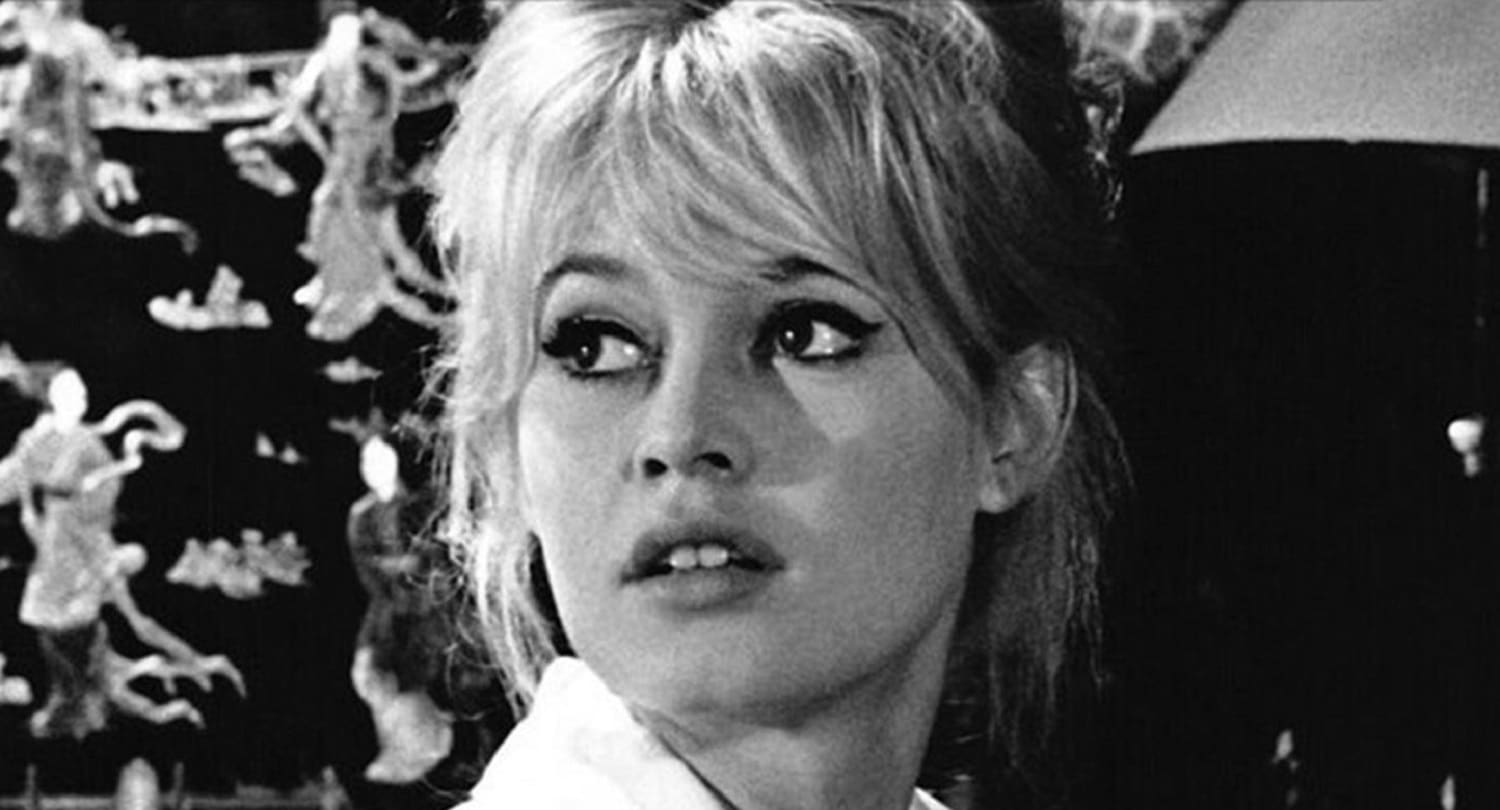 Πλημμύρισε το σπίτι της Brigitte Bardot! Ο θρήνος και οι καταστροφές στη ζωή της! 2