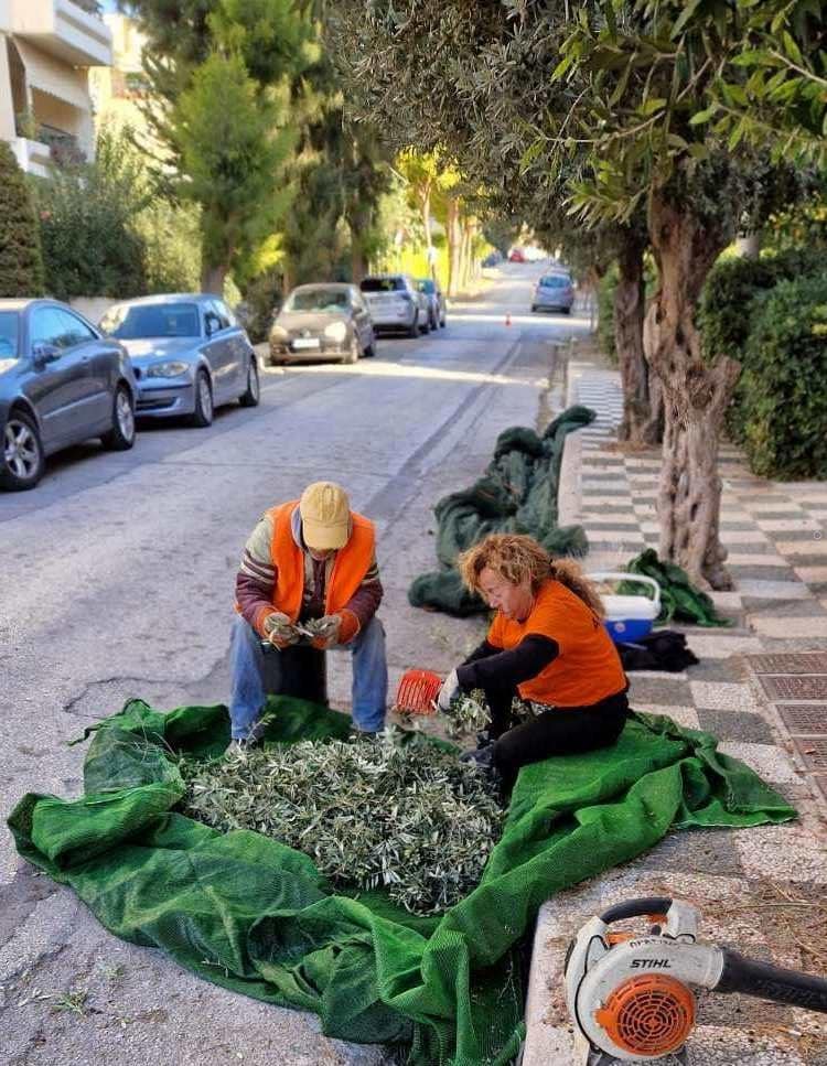 Ελαιόλαδο! διανέμεται δωρεάν μέσω του Κοινωνικού Παντοπωλείου Αλίμου