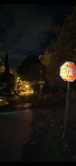 Ρένα Κουβελιώτη γιός