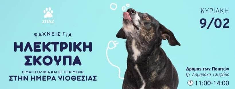 Γλυφάδα Αν ψάχνετε το 4ποδο ταίρι σας, ελάτε την Κυριακή 9/2 στο Δρόμο των Ποιητών (Γρ.Λαμπράκη)
