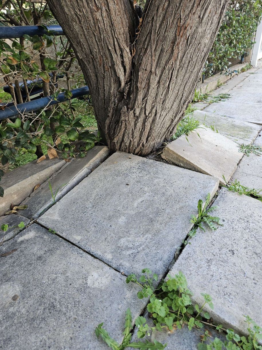 Γλυφάδα – δρόμοι πεζοδρόμια! “Μέχρι να σκάσουν τα πλακάκια, ποιος ζεις ποιος πεθαίνει;”