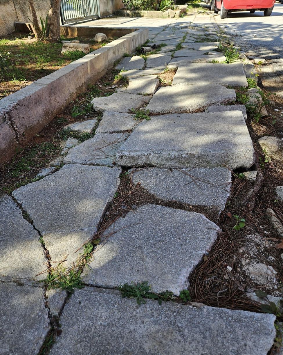 Γλυφάδα τώρα: Δεν έγινε σεισμός. Οι ρίζες των δέντρων τινάζουν τα πεζοδρόμια