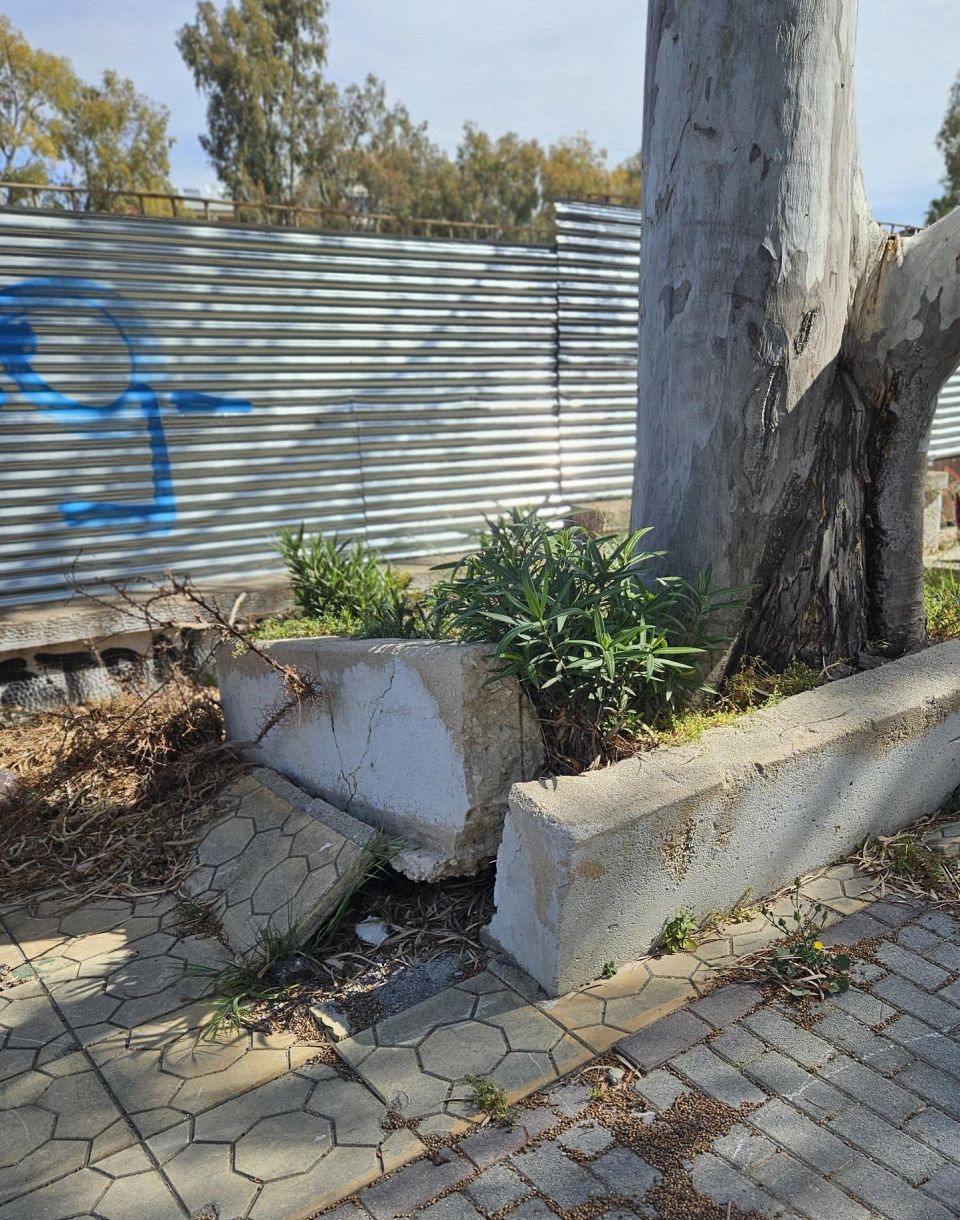 Γλυφάδα σήμερα Οι ρίζες σκάνε από το έδαφος 1