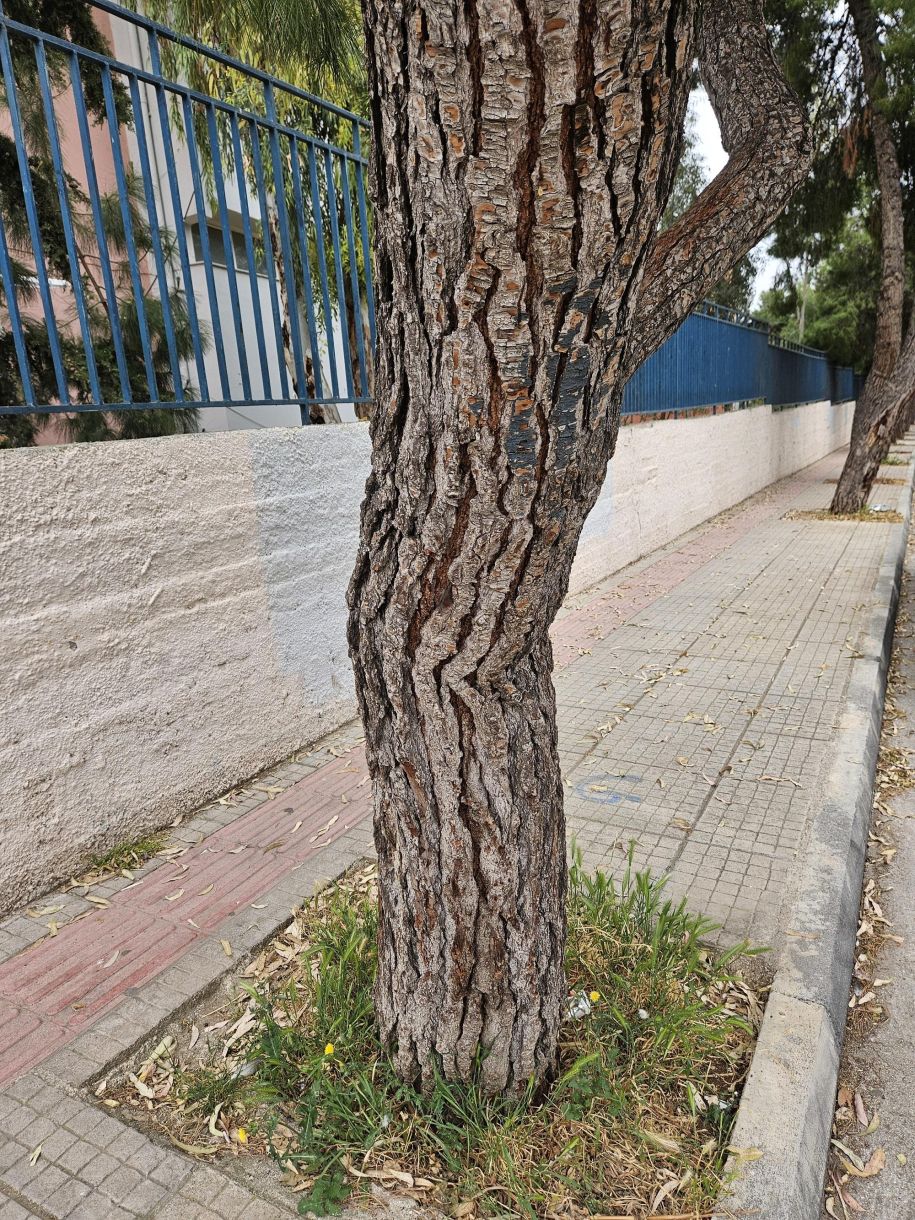 Δήμοι Γλυφάδα! Περπατάς και…πΑτάς!