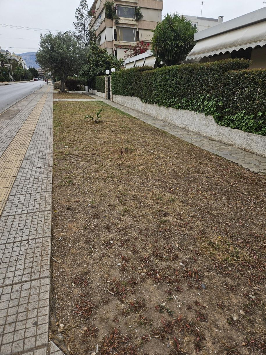 Κηπουροί τιμές Κήπος υπόδειγμα στην Γλυφάδα