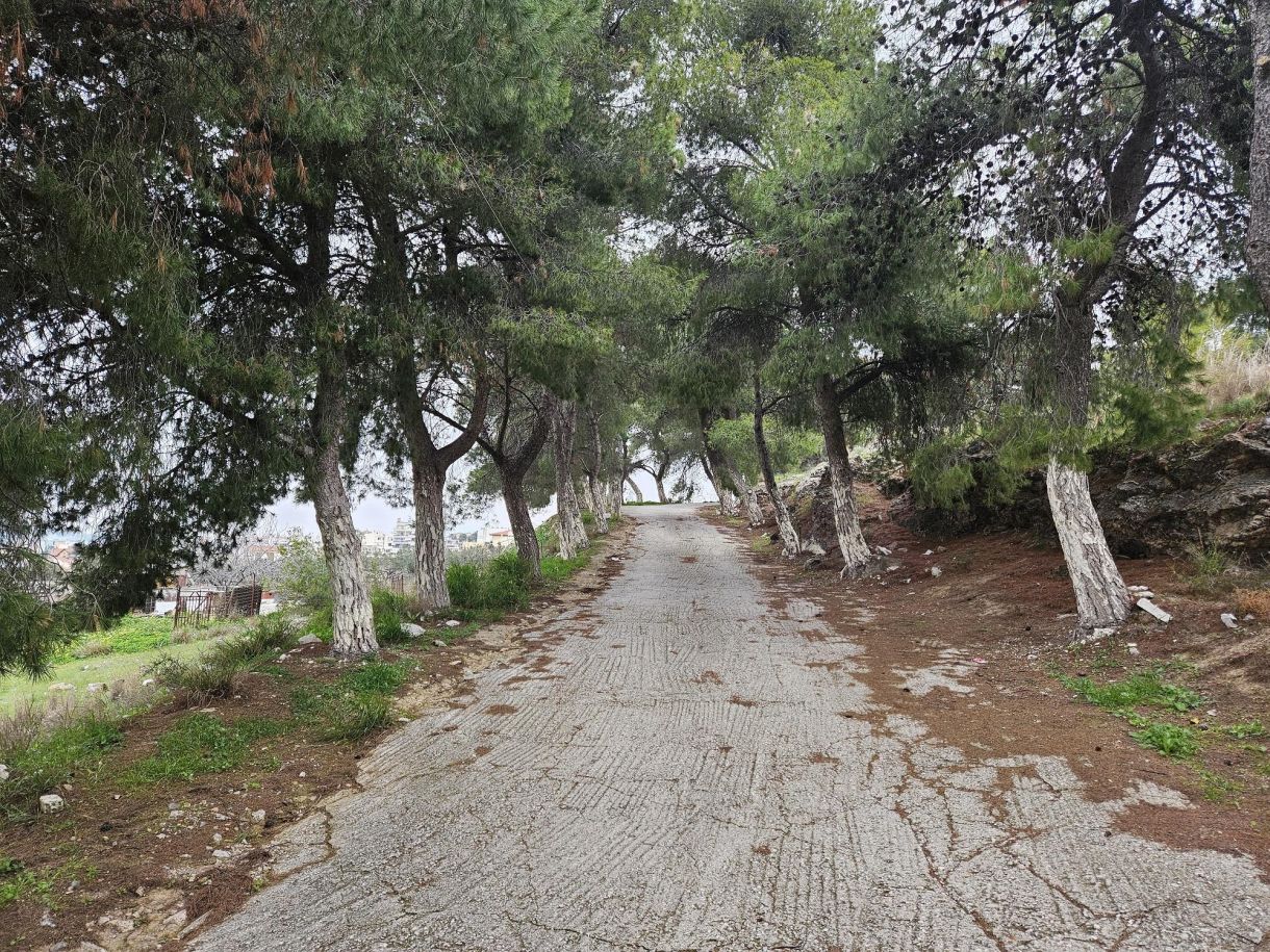 Νότια! Τα κρυφά μονοπάτια