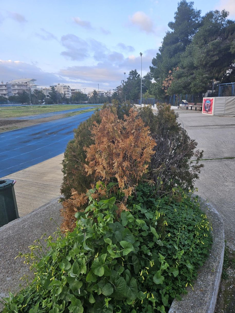 Νότια προάστια γήπεδα σήμερα! Το πρωί ουδείς, ούτε στον στίβο ούτε στην εξέδρα