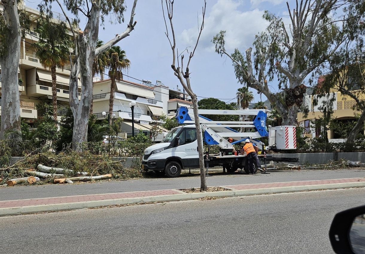 Γλυφάδα δρόμοι – Σοφίας Βέμπο! Κλάδεμα δέντρων στην “Παναγίτσα”