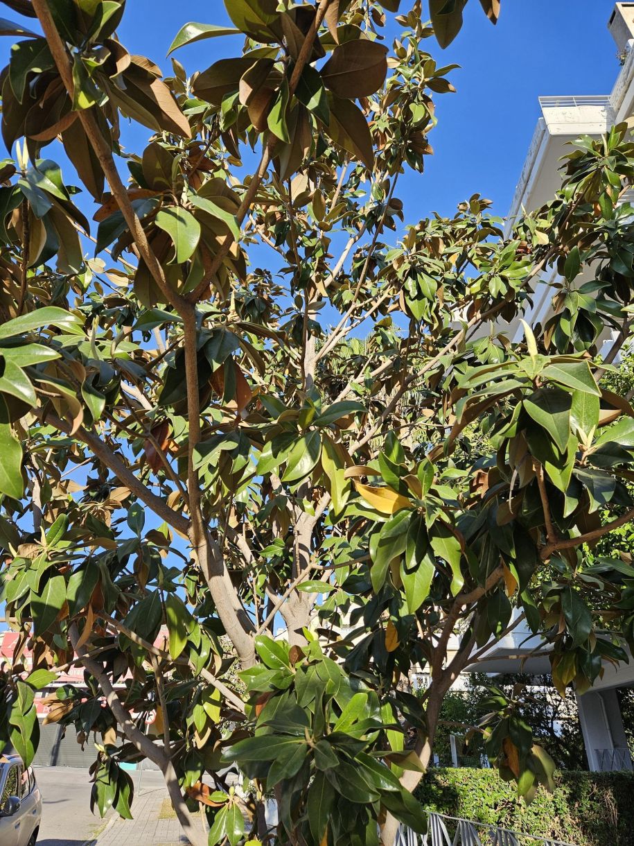 Καιρός σήμερα Νότια Στους 30 η θερμοκρασία μέχρι το μεσημέρι 2