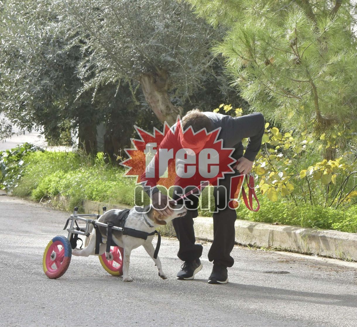 Αδέσποτα Γλυφάδα! Ήταν, μέχρι να την υιοθετήσουν Χατζηγηιάννης και Μακρυπούλια