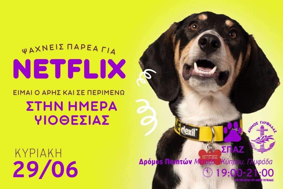 Υιοθεσία σκύλων από τον Δήμο Γλυφάδας και τον ΣΠΑΖ