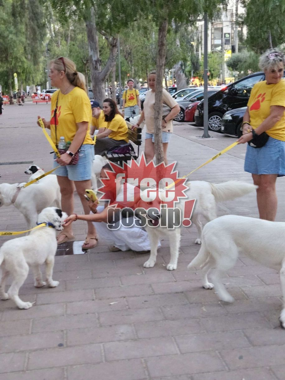 Γλυφάδα! Γνώρισε τον σκύλο που θα υιοθετήσεις! Οι φιλόζωοι έβγαλαν βόλτα όσες ψυχές προστατεύουν για να τις γνωρίσετε