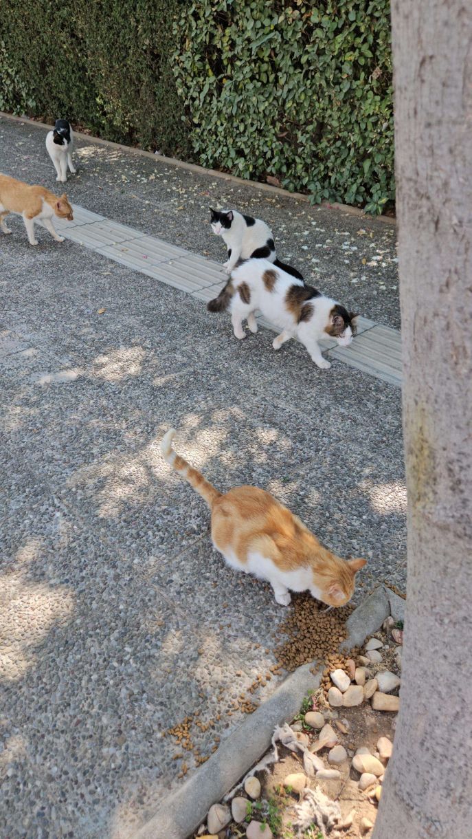 Δήμοι 1 3