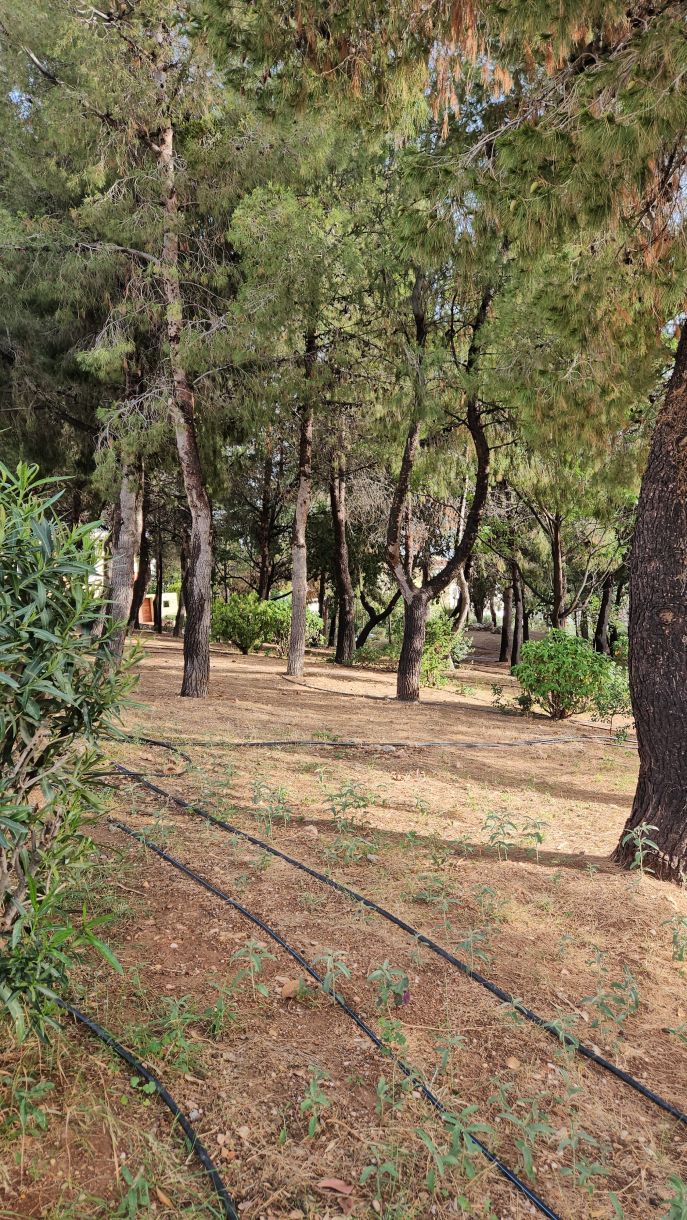 Δήμοι – Βούλα – Βουλιαγμένη – Γλυφάδα! Πάρκα σαν μικρά δάση