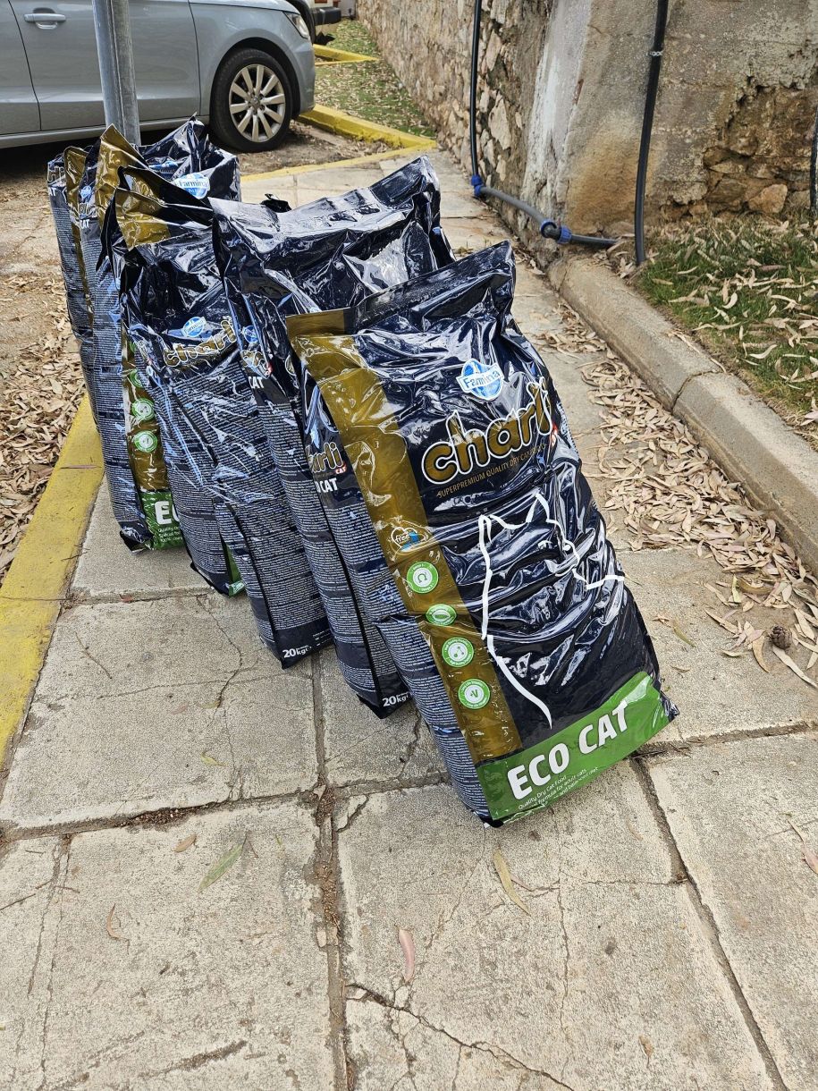 Δήμοι αδέσποτα Η Γλυφάδα μοιράζει 20κιλα τροφής για τις γάτες στις γειτονιές