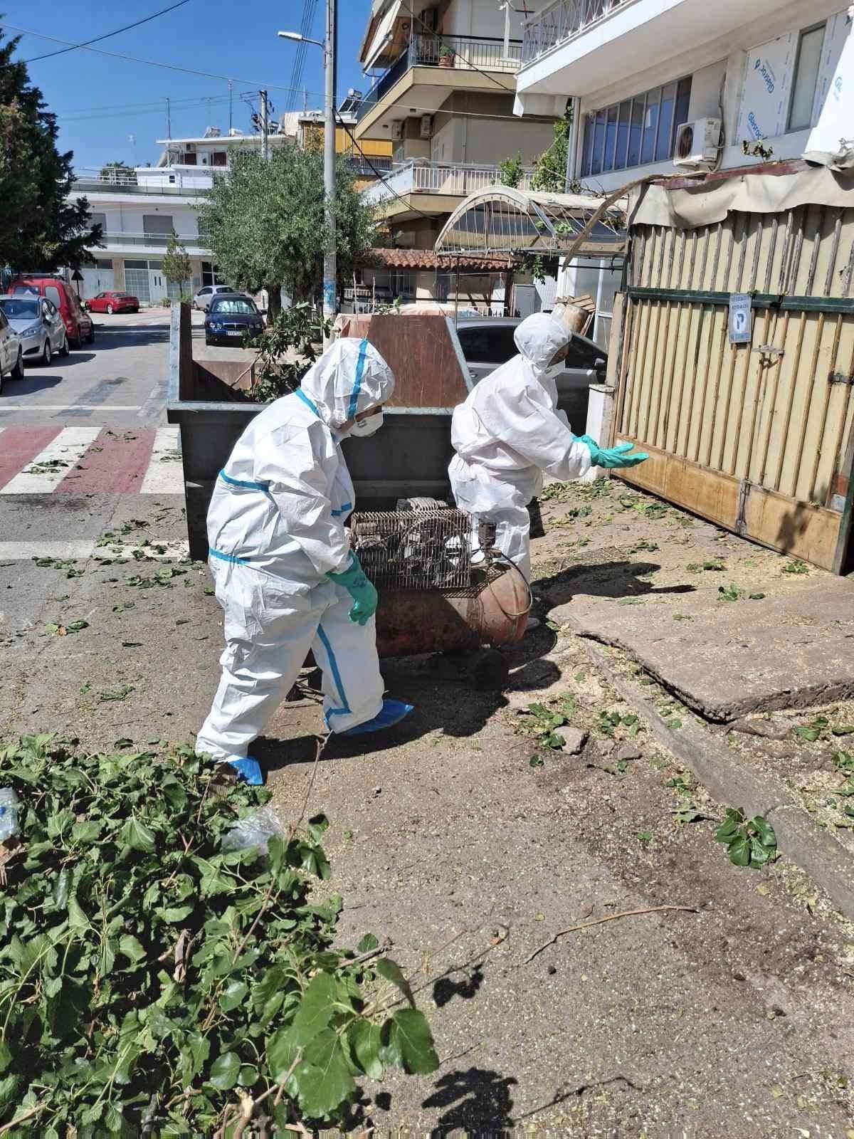 Τα συνεργεία του Δήμου Αλίμου σε δράση