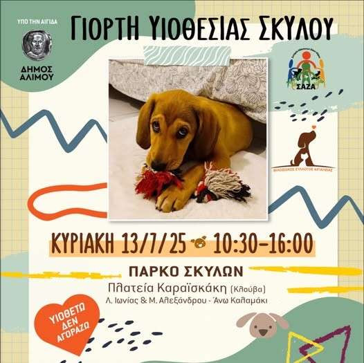 αδέσποτα! «ΥΙΟΘΕΤΩ, ΔΕΝ ΑΓΟΡΑΖΩ!»: ΓΙΟΡΤΗ ΥΙΟΘΕΣΙΑΣ ΣΚΥΛΟΥ
