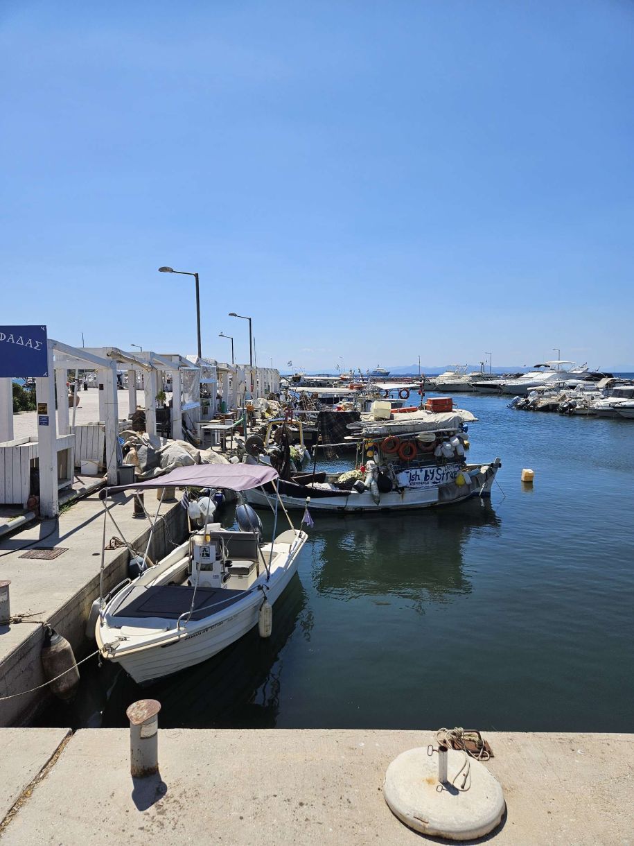 Γλυφάδα! Υπάρχει ακόμα ψαραγορά! Βίντεο 26 δευτερόλεπτα για να δεις πάγκους και ψαροκάϊκα
