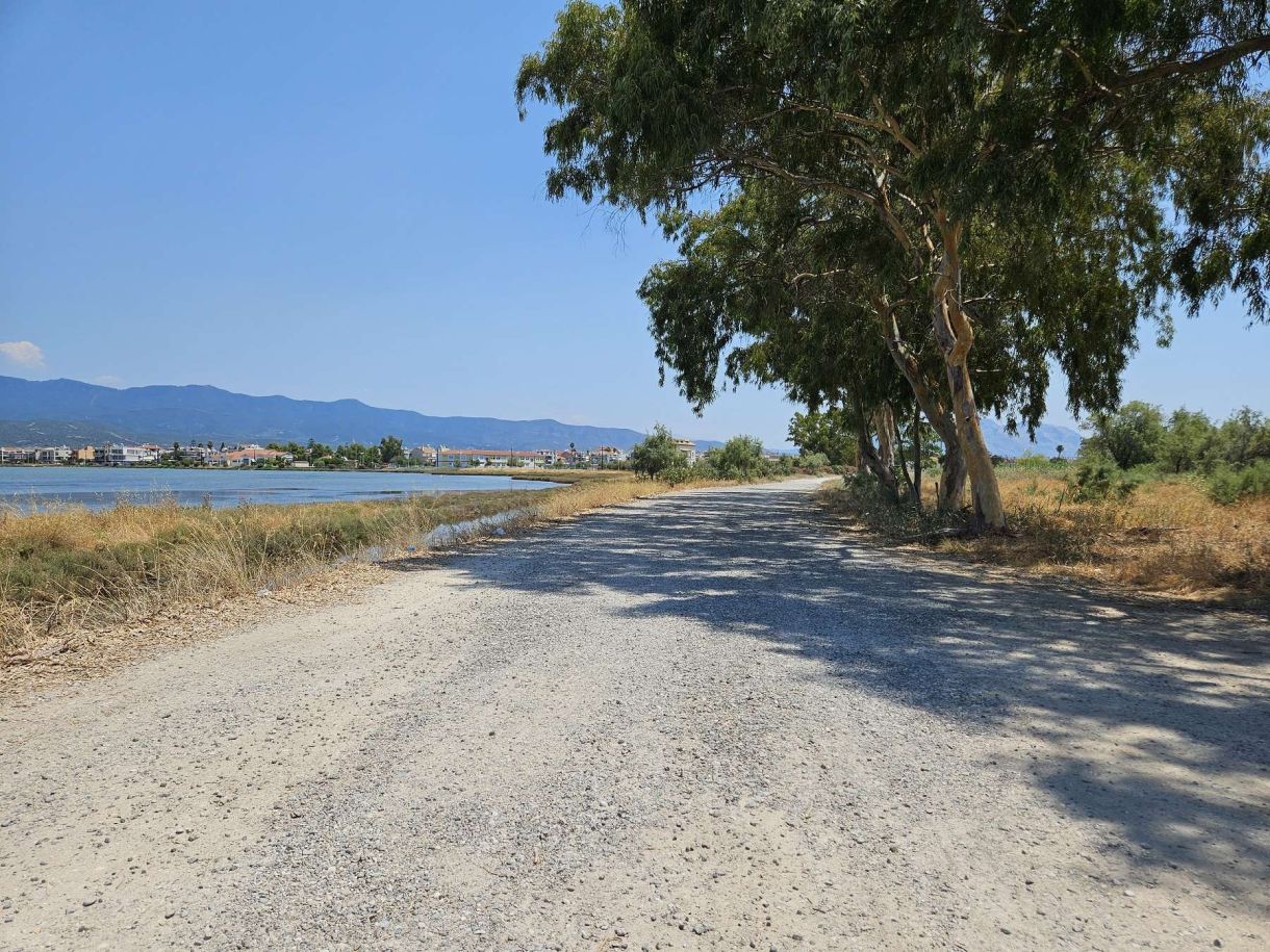 Ελλάδα σήμερα Ο χωματρόδρομος με τις λεύκες δίπλα στη λίμνη