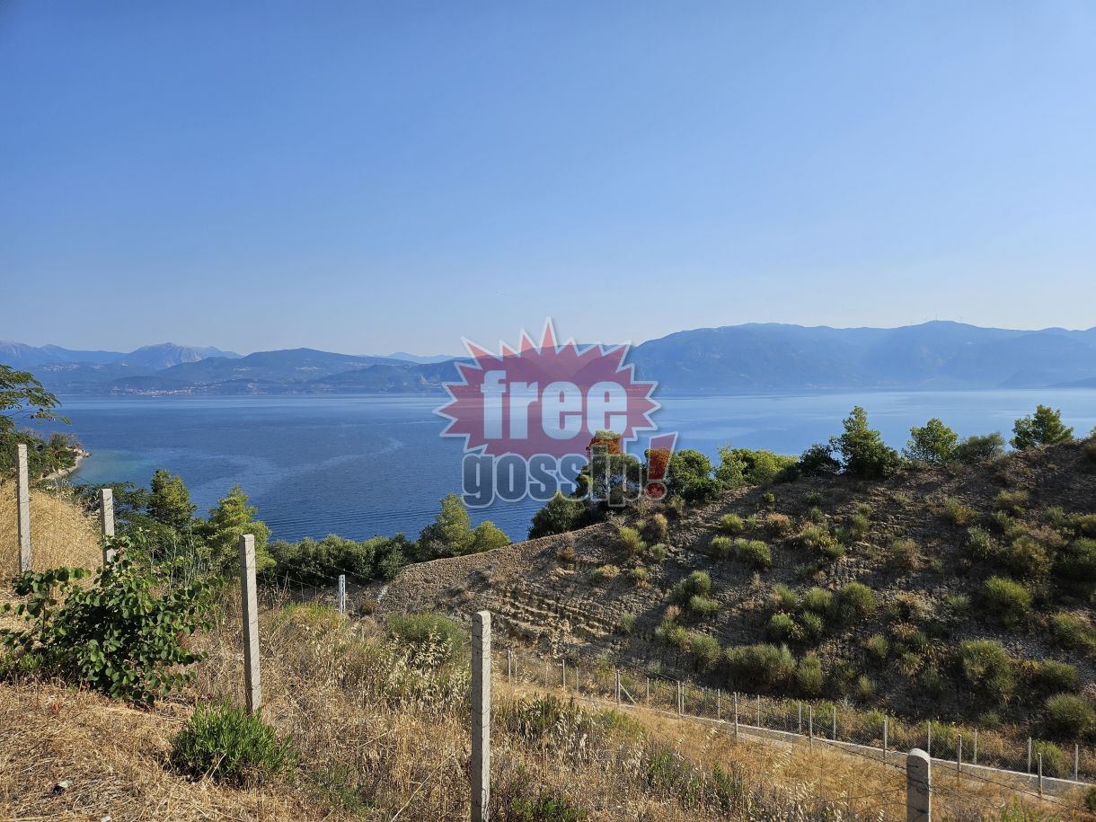 Ελλάδα σήμερα (βίντεο)! Τι βλέπεις αν κάνεις στάση στην εθνική…