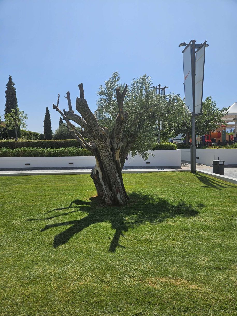Νότια προάστια! Δες το αλλιώς! Αντί για πολέμους και άσχημες ειδήσεις!